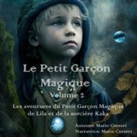 Petit_Gar__on_Magique_Volume_2__Le